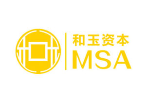 MSA كابيتال